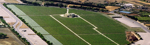 Meridiana Wine Estate auf Malta